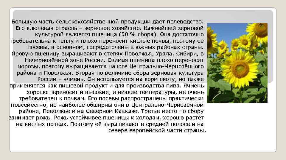 Большую часть сельскохозяйственной продукции дает полеводство. Его ключевая отрасль – зерновое хозяйство. Важнейшей зерновой