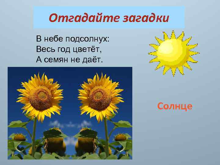 Отгадайте загадки В небе подсолнух: Весь год цветёт, А семян не даёт. Солнце 