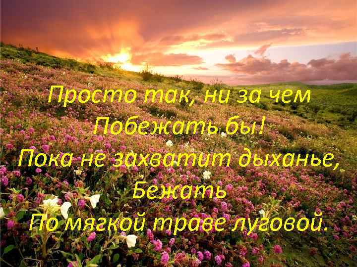 Просто так, ни за чем Побежать бы! Пока не захватит дыханье, Бежать По мягкой