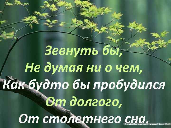 Зевнуть бы, Не думая ни о чем, Как будто бы пробудился От долгого, От