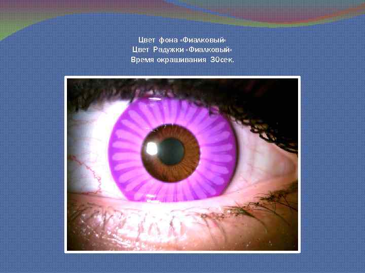 Цвет фона «Фиалковый» Цвет Радужки «Фиалковый» Время окрашивания 30 сек. 