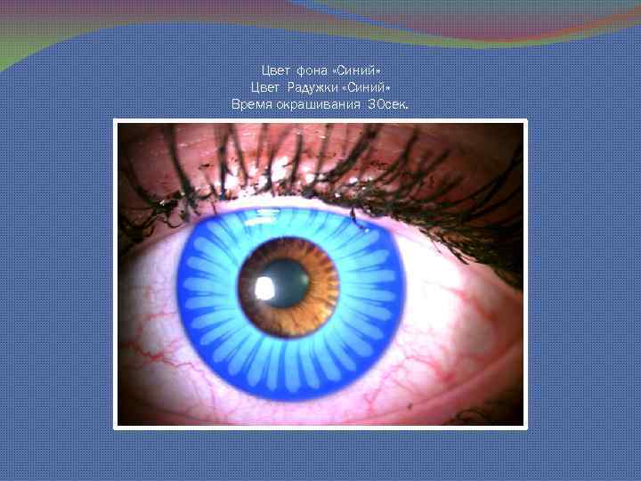 Цвет фона «Синий» Цвет Радужки «Синий» Время окрашивания 30 сек. 