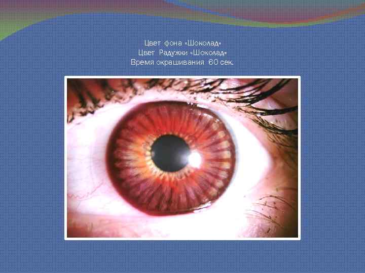 Цвет фона «Шоколад» Цвет Радужки «Шоколад» Время окрашивания 60 сек. 