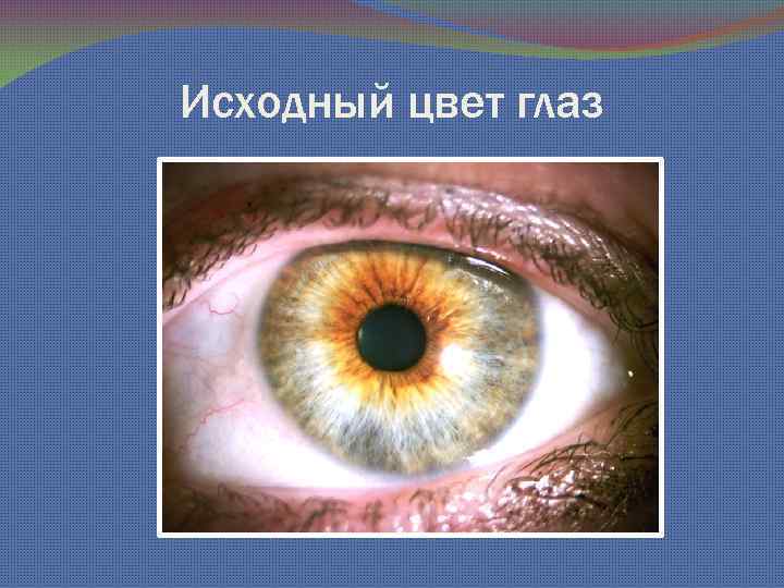 Исходный цвет глаз 