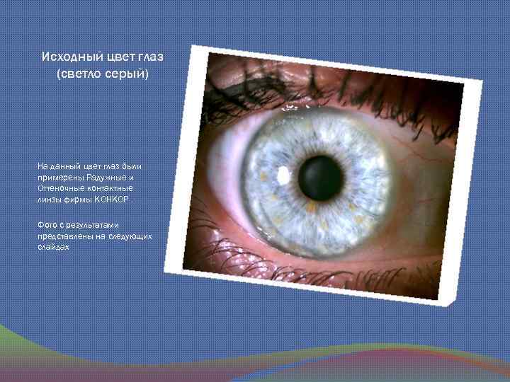 Исходный цвет глаз (светло серый) На данный цвет глаз были примерены Радужные и Оттеночные