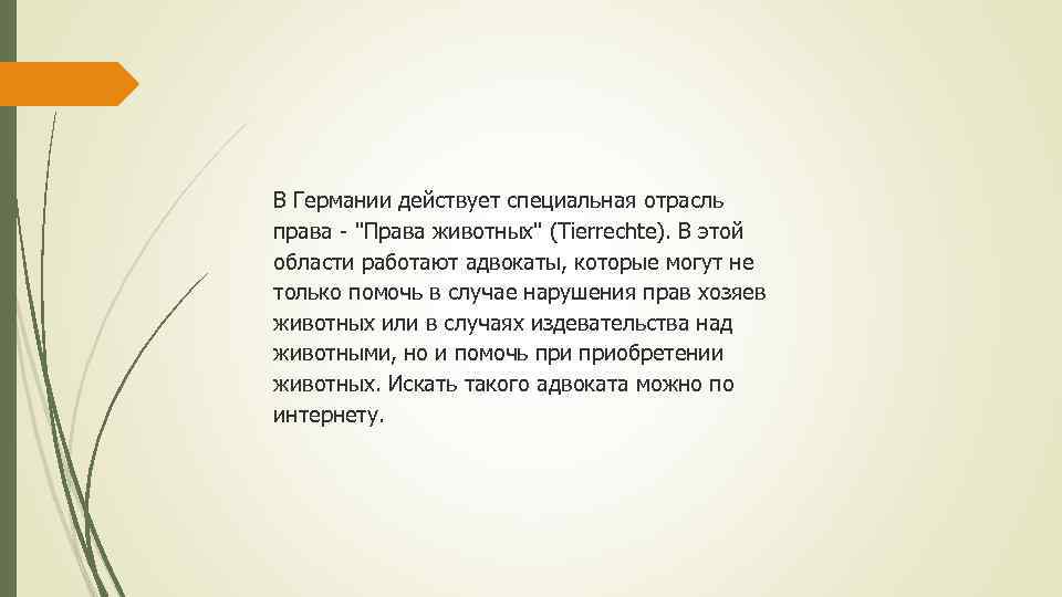В Германии действует специальная отрасль права - "Права животных" (Tierrechte). В этой области работают