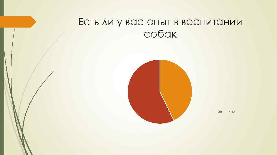 Есть ли у вас опыт в воспитании собак да нет 
