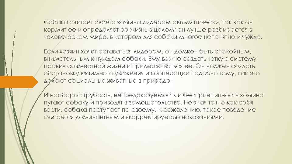 Собака считает своего хозяина лидером автоматически, так как он кормит ее и определяет ее