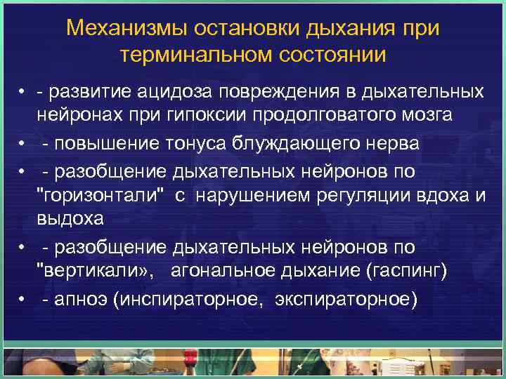 Механизмы остановки дыхания при терминальном состоянии • - развитие ацидоза повреждения в дыхательных нейронах