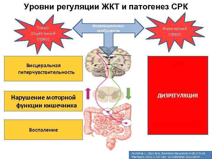 Патогенез моторной алалии