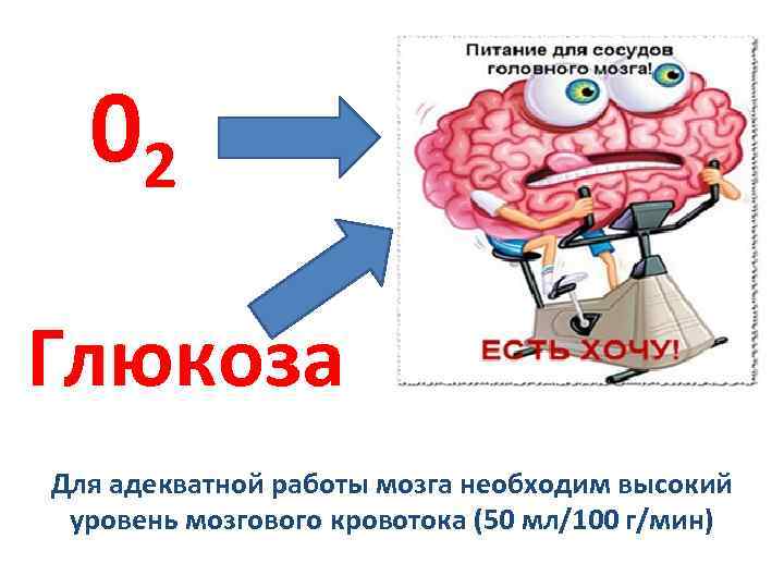 02 Глюкоза Для адекватной работы мозга необходим высокий уровень мозгового кровотока (50 мл/100 г/мин)