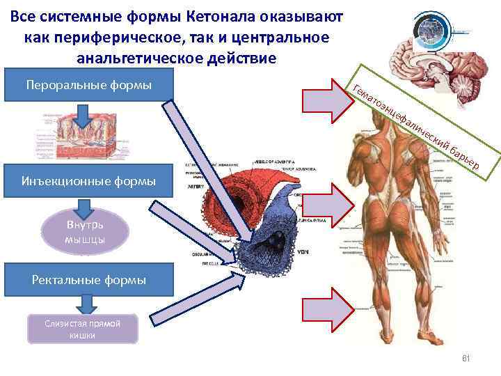 Все системные формы Кетонала оказывают как периферическое, так и центральное анальгетическое действие Пероральные формы