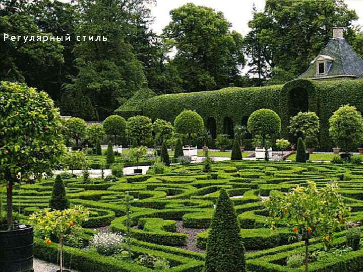 Регулярный стиль 