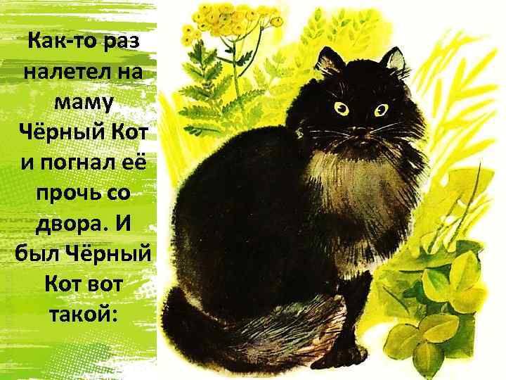 Как-то раз налетел на маму Чёрный Кот и погнал её прочь со двора. И