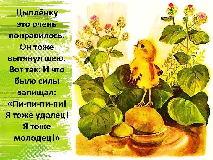 Цыплёнку это очень понравилось. Он тоже вытянул шею. Вот так: И что было силы