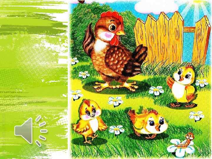 Подвижная игра цыплята. Курица с цыплятами. Цыпленок картинка для детей. Курочка с цыплятами. Курочка с цыплятами для детей.