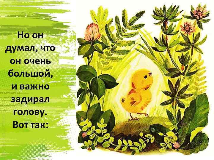 Но он думал, что он очень большой, и важно задирал голову. Вот так: 