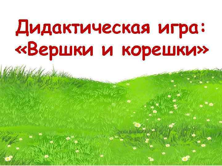 Дидактическая игра: «Вершки и корешки» 