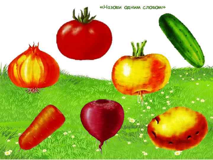  «Назови одним словом» 