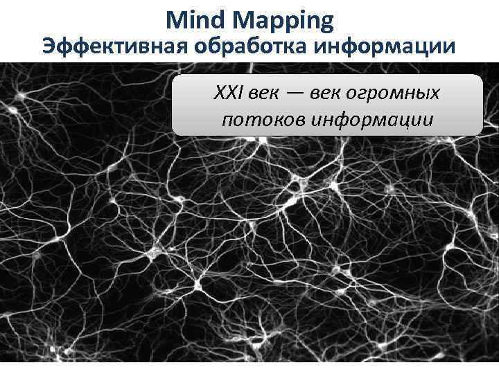 Mind Mapping Эффективная обработка информации XXI век — век огромных потоков информации 