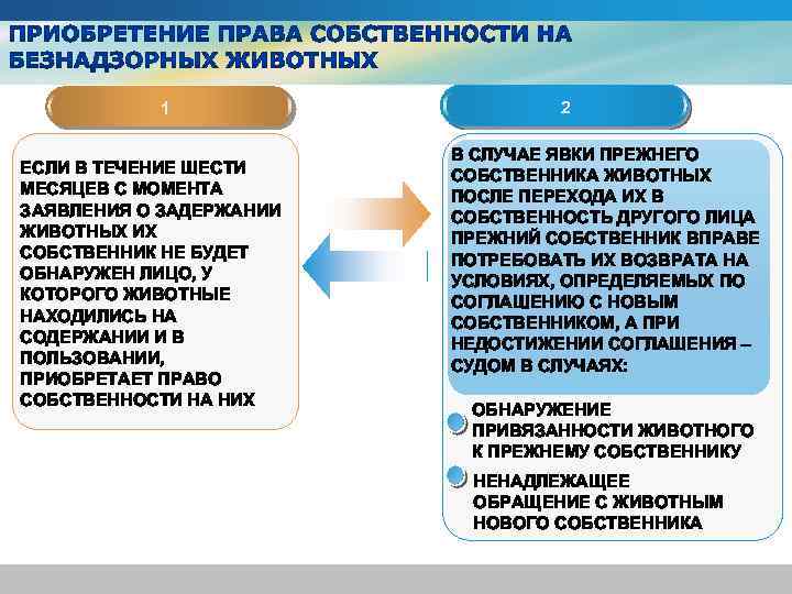 1 ЕСЛИ В ТЕЧЕНИЕ ШЕСТИ МЕСЯЦЕВ С МОМЕНТА ЗАЯВЛЕНИЯ О ЗАДЕРЖАНИИ ЖИВОТНЫХ ИХ СОБСТВЕННИК