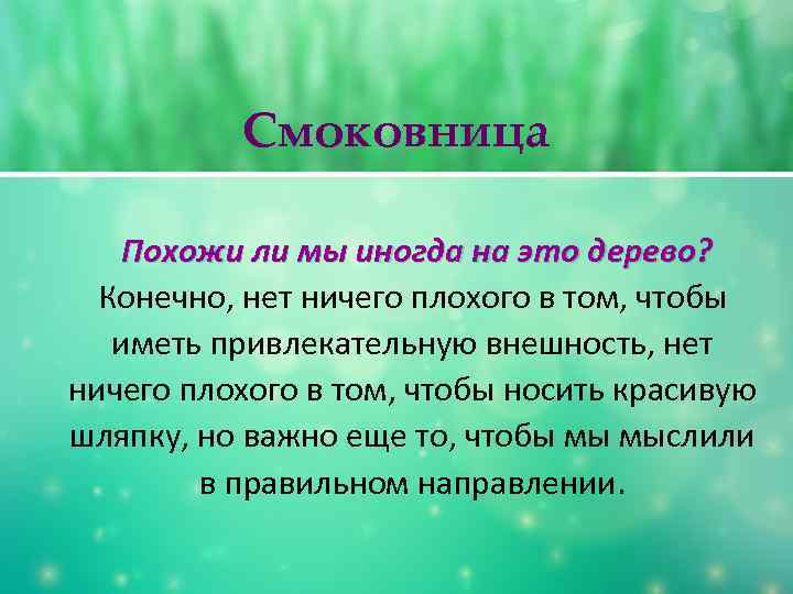 Смоковница Похожи ли мы иногда на это дерево? Конечно, нет ничего плохого в том,