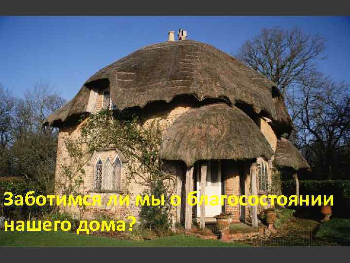 Заботимся ли мы о благосостоянии нашего дома? 
