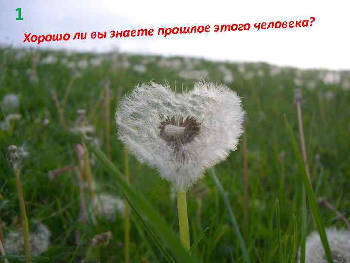 1 ое этого человека? шл шо ли вы знаете про Хоро 