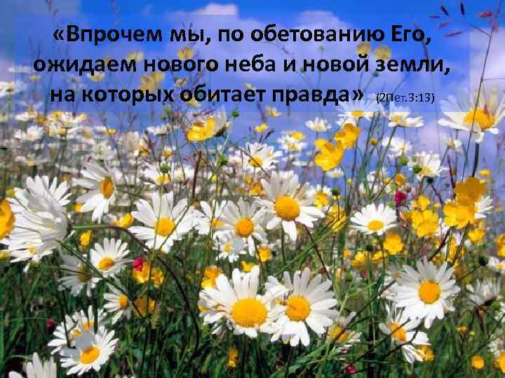  «Впрочем мы, по обетованию Его, ожидаем нового неба и новой земли, на которых