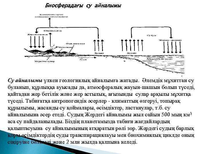 Биосферадағы су айналымы Су айналымы үлкен геологиялық айналымға жатады. Әлемдік мұхиттан су буланып, құрлыққа