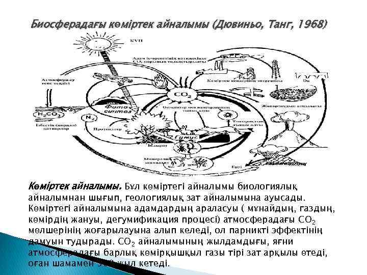 Биосферадағы көміртек айналымы (Дювиньо, Танг, 1968) Көмiртек айналымы. Бұл көмiртегі айналымы биологиялық айналымнан шығып,