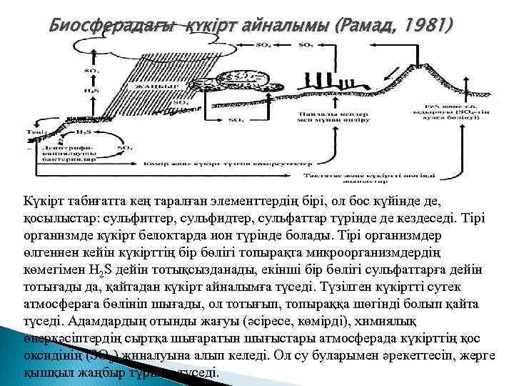 Биосферадағы күкiрт айналымы (Рамад, 1981) Күкiрт табиғатта кең таралған элементтердiң бiрi, ол бос күйiнде