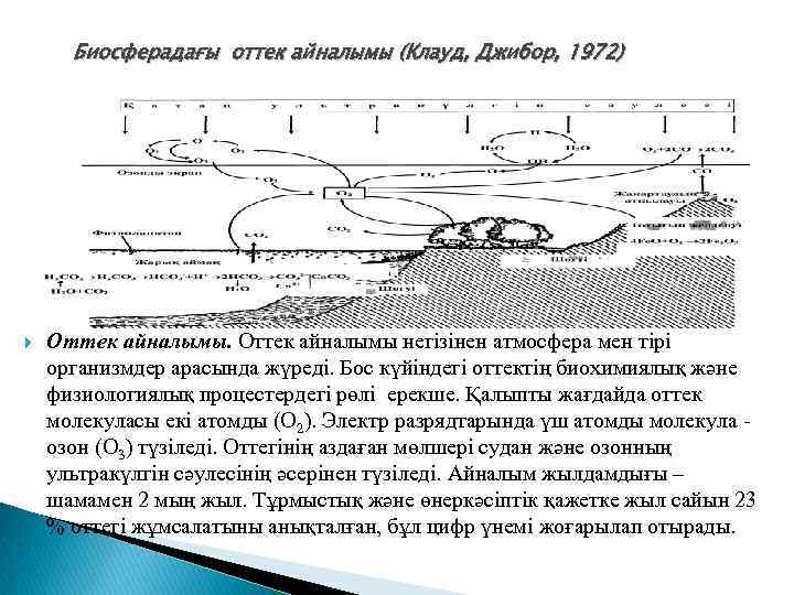 Биосферадағы оттек айналымы (Клауд, Джибор, 1972) Оттек айналымы негізінен атмосфера мен тірі организмдер арасында