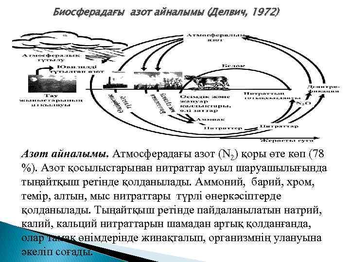 Биосферадағы азот айналымы (Делвич, 1972) Азот айналымы. Атмосферадағы азот (N 2) қоры өте көп