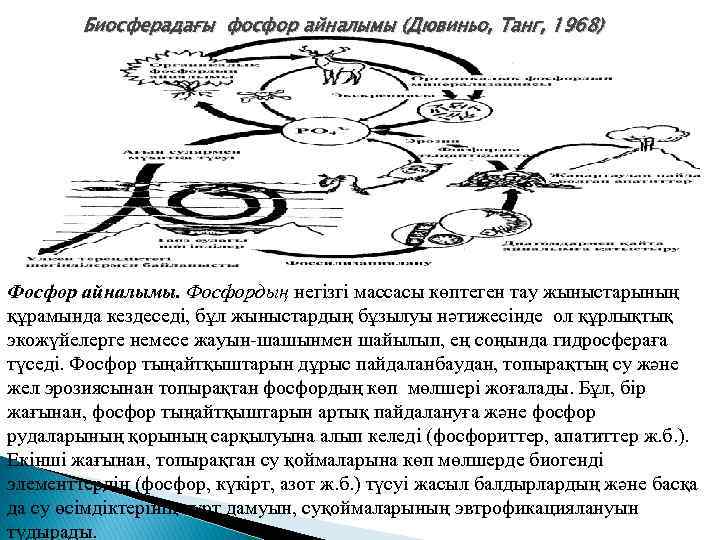 Биосферадағы фосфор айналымы (Дювиньо, Танг, 1968) Фосфор айналымы. Фосфордың негізгі массасы көптеген тау жыныстарының