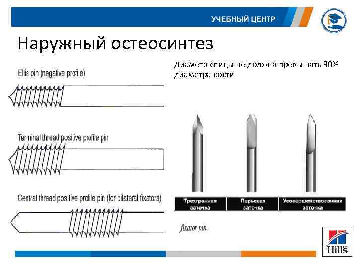Треть длины спицы. Диаметры костных винтов. Спицы для остеосинтеза виды. Спицы для остеосинтеза ветеринарные.