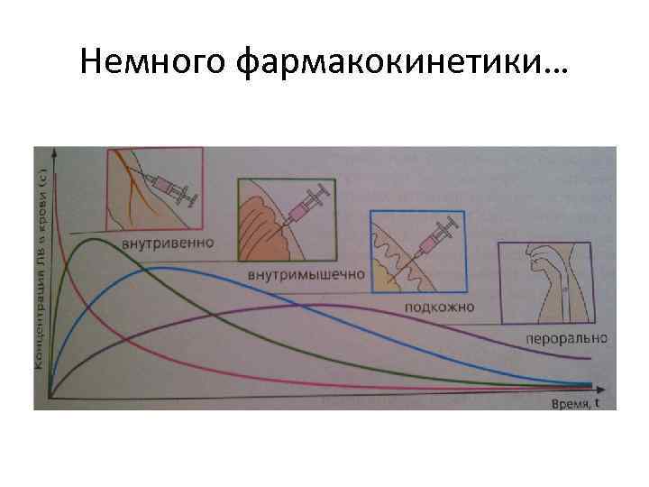 Немного фармакокинетики… 