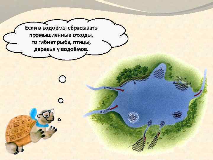 Если в водоёмы сбрасывать промышленные отходы, то гибнет рыба, птицы, деревья у водоёмов. 