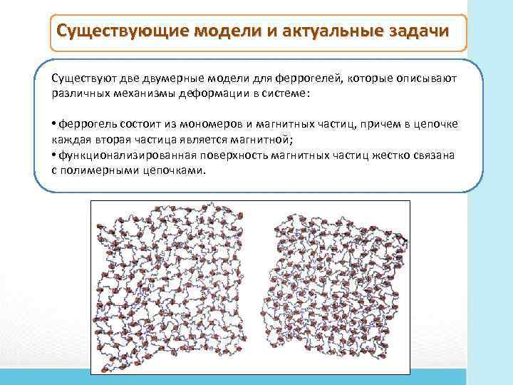 Существующие модели и актуальные задачи Существуют две двумерные модели для феррогелей, которые описывают различных