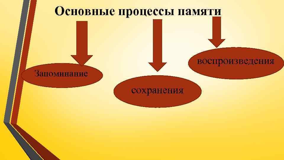 Основные процессы памяти воспроизведения Запоминание сохранения 