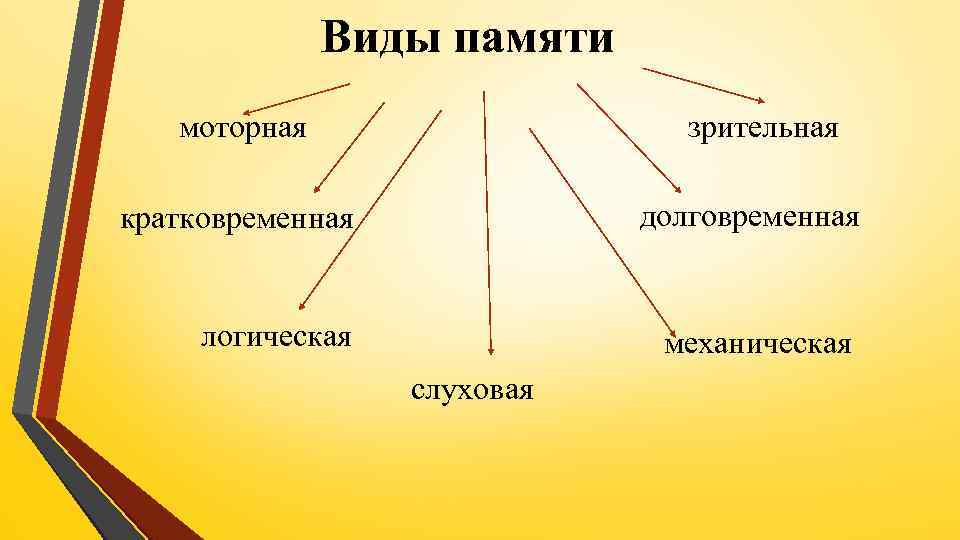 Виды памяти моторная зрительная кратковременная долговременная логическая механическая слуховая 