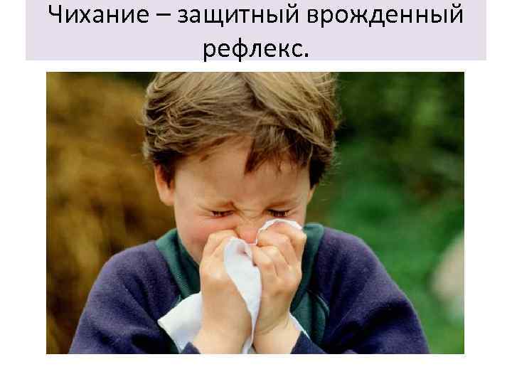 Чихание – защитный врожденный рефлекс. 