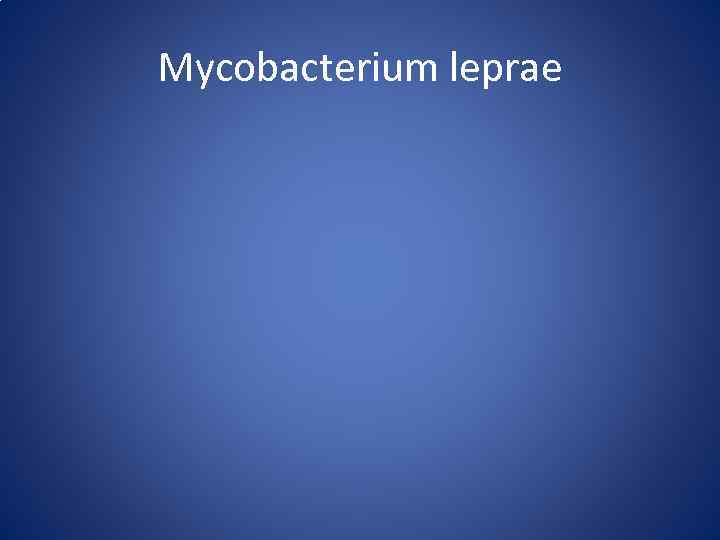 Mycobacterium leprae 