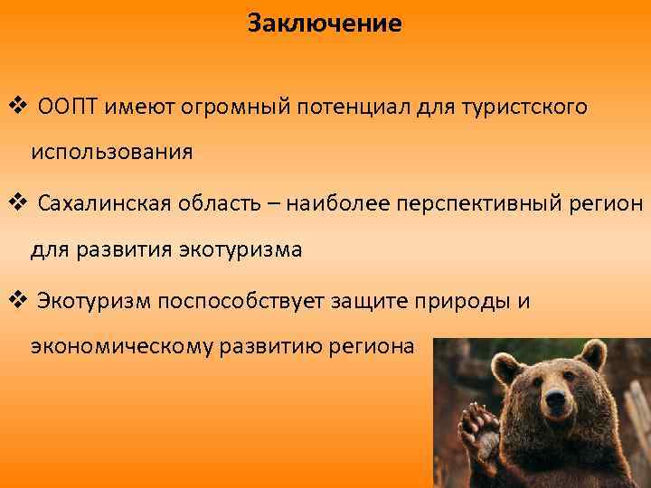 Заключение v ООПТ имеют огромный потенциал для туристского использования v Сахалинская область – наиболее