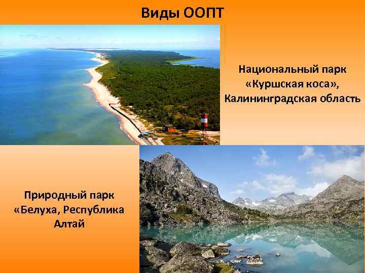 Виды ООПТ Национальный парк «Куршская коса» , Калининградская область Природный парк «Белуха, Республика Алтай