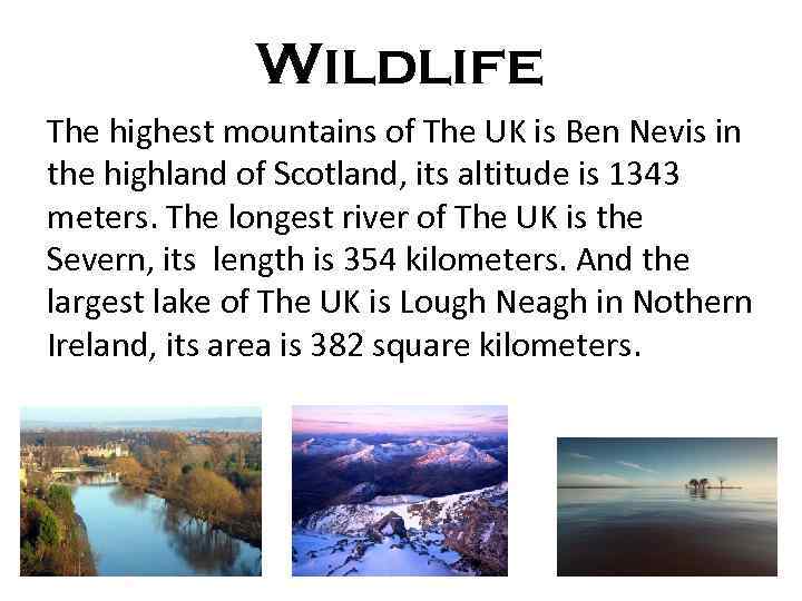 Wildlife The highest mountains of The UK is Ben Nevis in the highland of