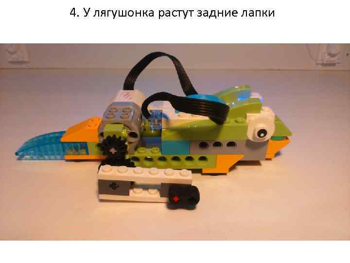 4. У лягушонка растут задние лапки 