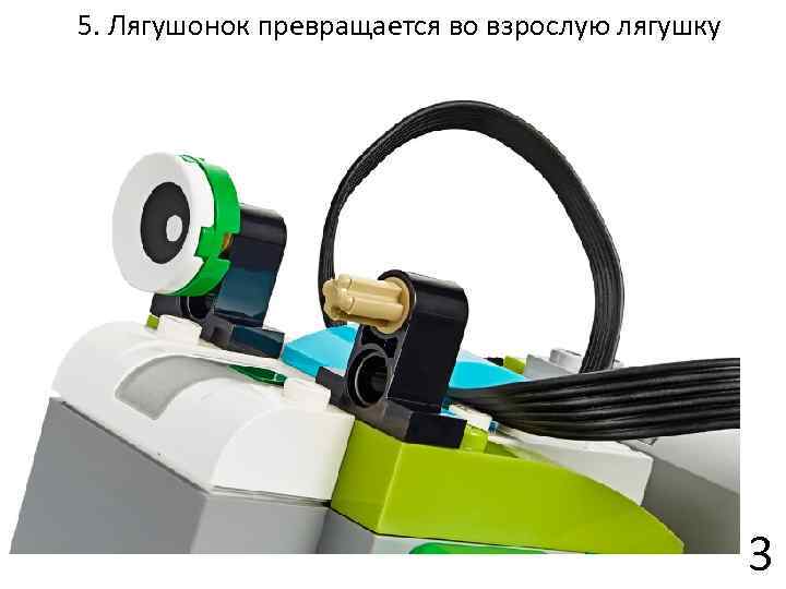 5. Лягушонок превращается во взрослую лягушку 3 