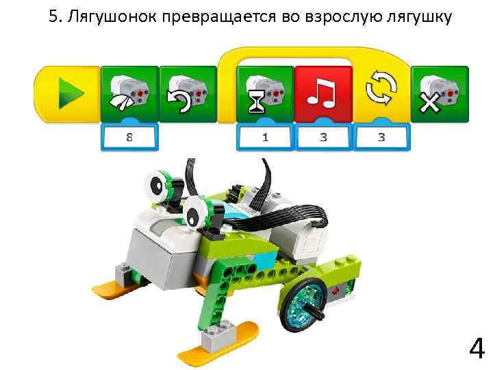 5. Лягушонок превращается во взрослую лягушку 4 