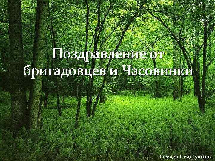 Поздравление от бригадовцев и Часовинки Часодеи. Подслушано 